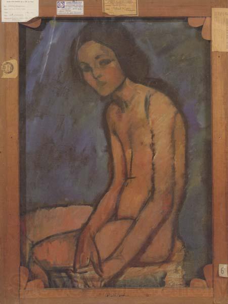 Amedeo Modigliani Nu assis (mk39) Norge oil painting art